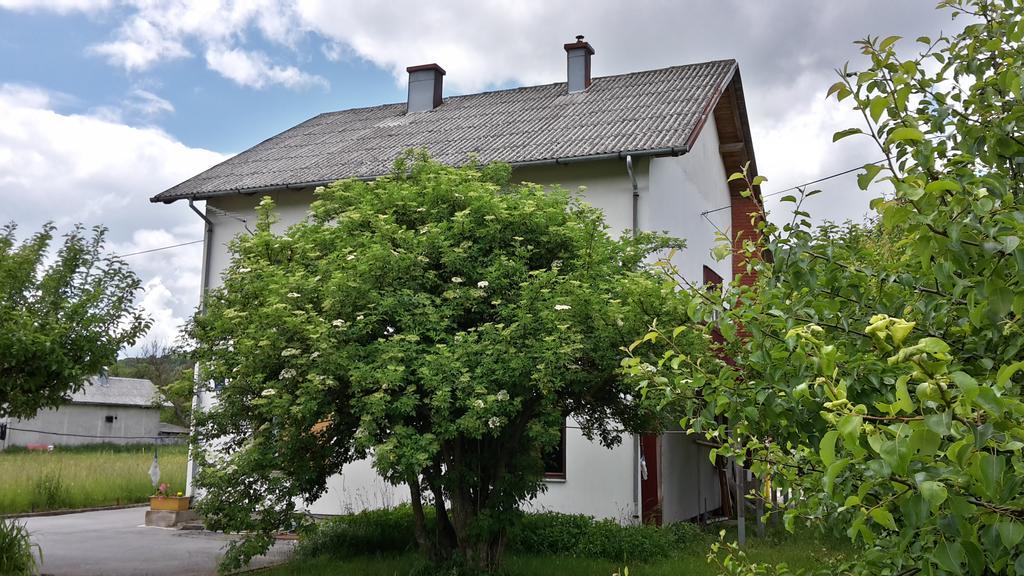 Hotel House Petkovic Korenica Exteriér fotografie